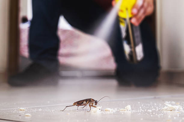 Best Mosquito Control Services  in Northfield, NJ